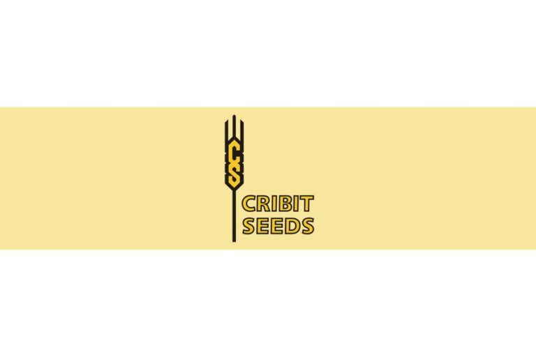 cribit seeds it service computer repair ontario